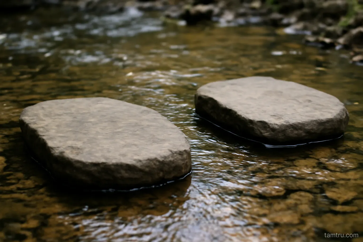 two stepping stones in a shallow stream with a gap of water between them